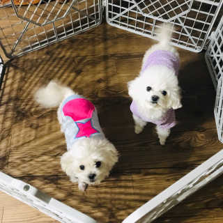 횻선님이 올린 리뷰 사진 1