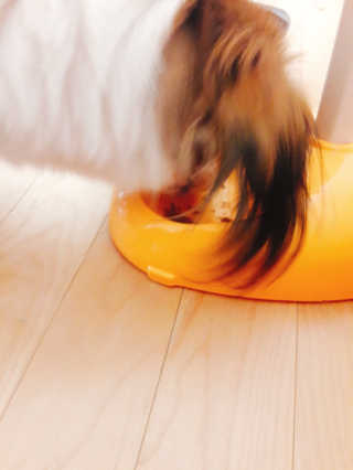 바바밤님이 올린 리뷰 사진 2
