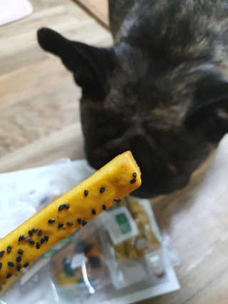 탱크돌콩님이 올린 리뷰 사진 2