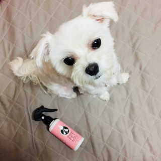 당근님이 올린 리뷰 사진 1