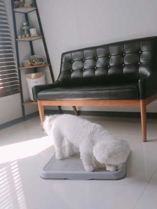 스페이스정님이 올린 리뷰 사진 2