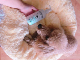 songyn님이 올린 리뷰 사진 2