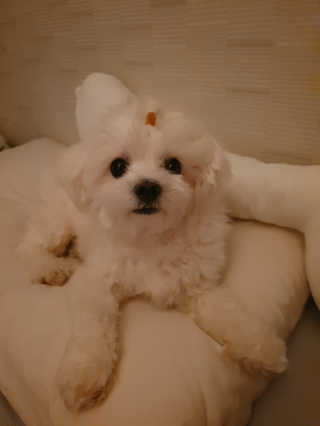 황선아님이 올린 리뷰 사진 3