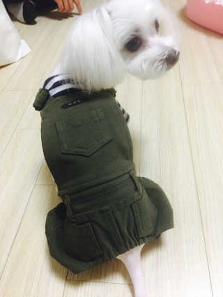 김창대님이 올린 리뷰 사진 1