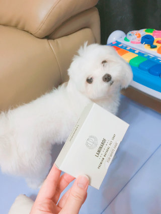 다원어뭉님이 올린 리뷰 사진 1