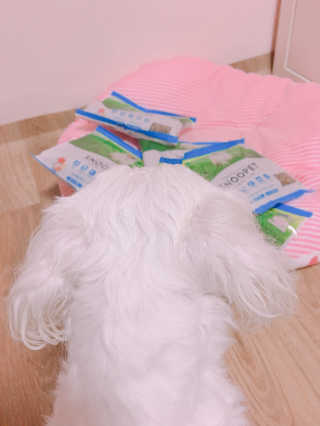 마이욱님이 올린 리뷰 사진 1