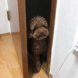 레비나님이 올린 리뷰 사진 2