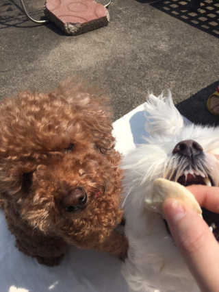 reeem님이 올린 리뷰 사진 4