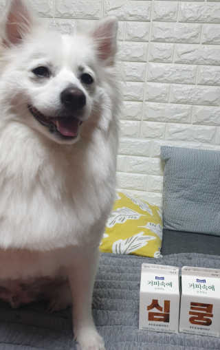 [매일유업] 우유속에 어쩌구_7개 모바일쿠폰 — 4점을 준 리뷰어가 2019년 6월 올린 사용 사진
