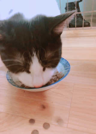 달콤한 대한씨님이 올린 리뷰 사진 3