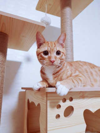 깜뽐님이 올린 리뷰 사진 3