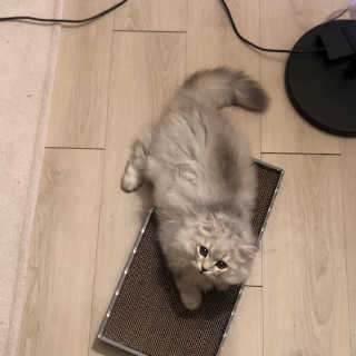 쩨리님이 올린 리뷰 사진 3