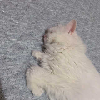 례진님이 올린 리뷰 사진 2