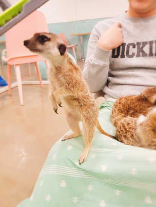 항항항님이 올린 리뷰 사진 2
