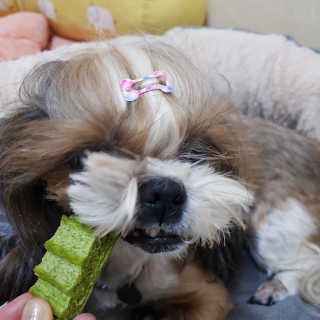 민준맘님이 올린 리뷰 사진 2