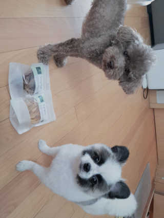 코콩님이 올린 리뷰 사진 4