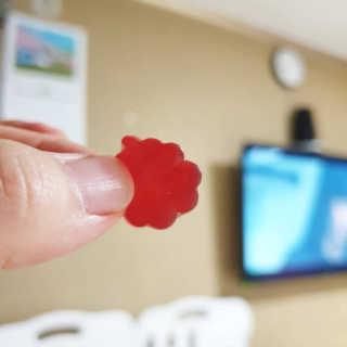 프롬바이오 [1+1] 홍쓰다스 와일드망고 다이어트 구미 10일분 — 5점을 준 리뷰어가 2020년 3월 올린 사용 사진