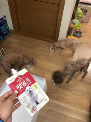 [빙그레] 에버그로 생유산균 1봉（10포입）+펫밀크2팩 — 5점을 준 리뷰어가 2019년 6월 올린 사용 사진
