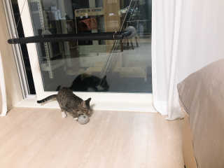 hi님이 올린 리뷰 사진 2