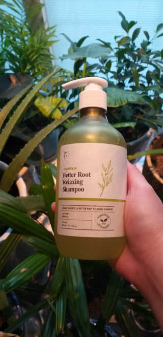 달리프 클로렐라 베러 루트 릴렉싱 샴푸 500ml — 5점을 준 리뷰어가 2019년 1월 올린 사용 사진