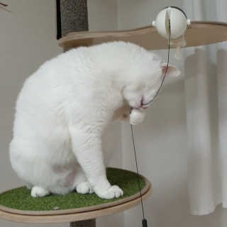 이주아님이 올린 리뷰 사진 2