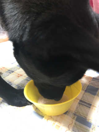 여울비화님이 올린 리뷰 사진 2