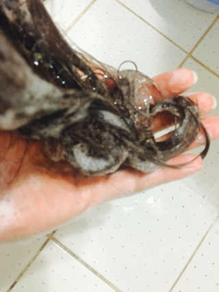 꿀슈니님이 올린 리뷰 사진 3
