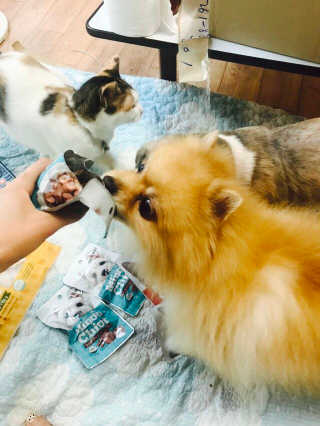 미누시아 촉촉한 닭안심 + 홍삼발효 훈제 말고기 — 4점을 준 리뷰어가 2018년 6월 올린 사용 사진
