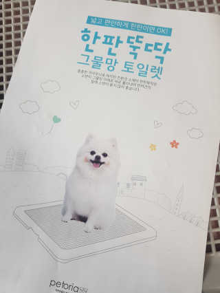 신지님이 올린 리뷰 사진 2