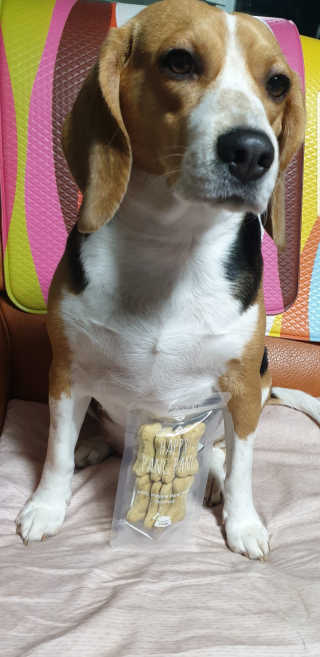 beaglelove님이 올린 리뷰 사진 1