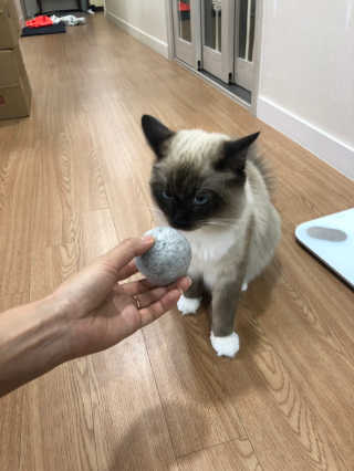 정봐기린님이 올린 리뷰 사진 2