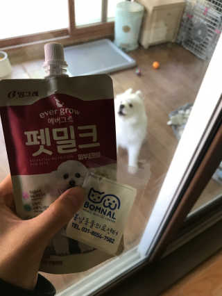 [빙그레] 에버그로 생유산균 1봉（10포입）+펫밀크2팩 — 5점을 준 리뷰어가 2019년 5월 올린 사용 사진