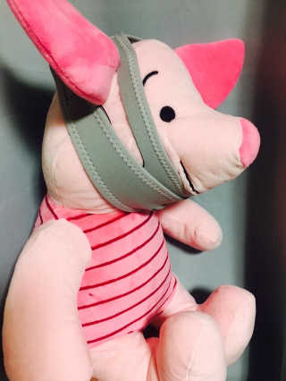 이가람님이 올린 리뷰 사진 2