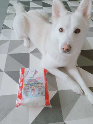 딸랑구둘🥰님이 올린 리뷰 사진 1