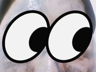 수린님이 올린 리뷰 사진 2