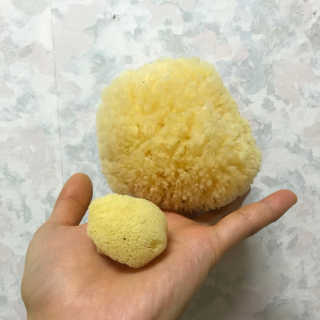 초초님이 올린 리뷰 사진 2