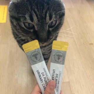 봄봄님이 올린 리뷰 사진 2