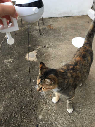 퐝님이 올린 리뷰 사진 4
