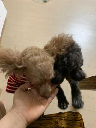 dddd님이 올린 리뷰 사진 1