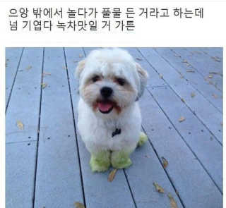 썸머님이 올린 리뷰 사진 2