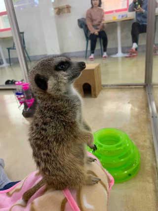 유민지님이 올린 리뷰 사진 1