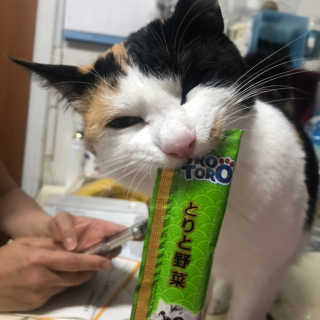 봄날님이 올린 리뷰 사진 2