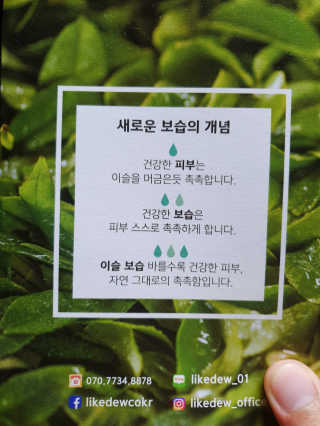 [이슬품은나] 그린 시그널 듀 오일 — 5점을 준 리뷰어가 2019년 10월 올린 사용 사진