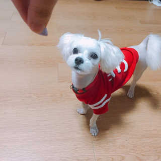 라리루리퐁퐁님이 올린 리뷰 사진 4