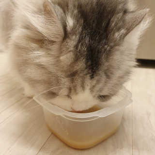 akabibe님이 올린 리뷰 사진 2