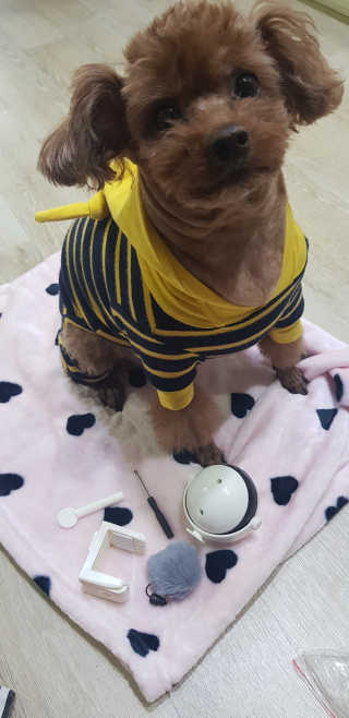 희야님이 올린 리뷰 사진 2