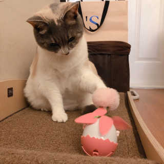 lala님이 올린 리뷰 사진 3