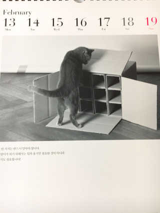 YeonJungLisaKim님이 올린 리뷰 사진 2