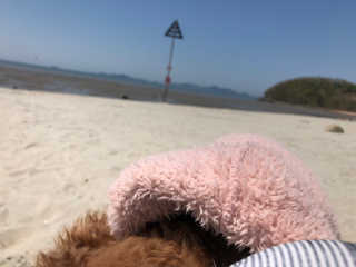 리리릴님이 올린 리뷰 사진 3