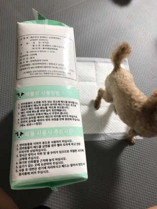 페츠모아 냄새잡는 요술배변패드 — 3점을 준 리뷰어가 2020년 2월 올린 사용 사진